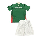Kit Infantil Palmeiras Home 26/27 Verde